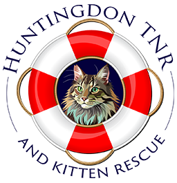 TNCats Logo
